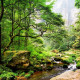 Zhangjiajie National Forest Park